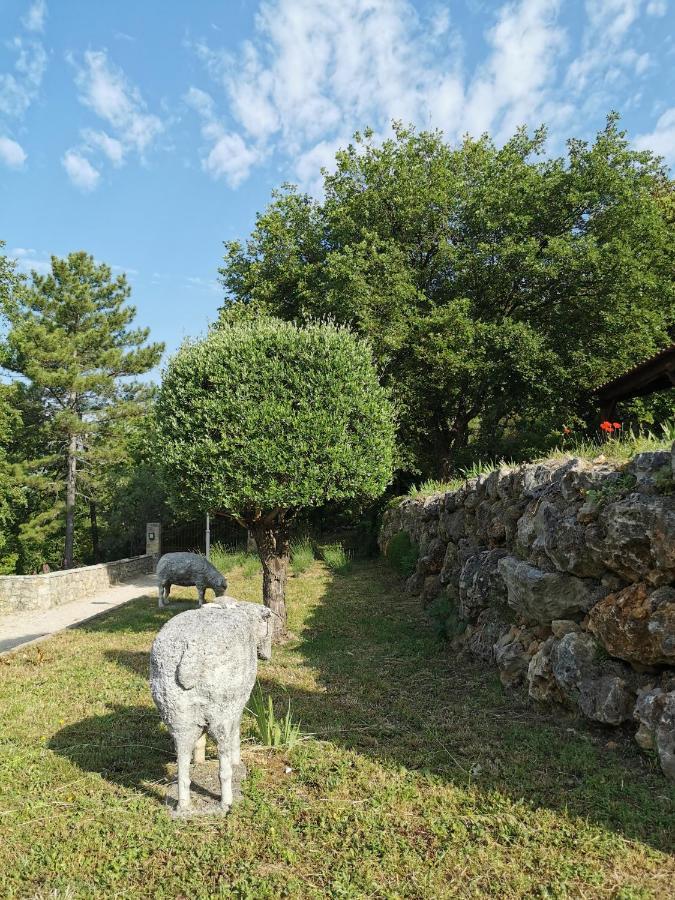 Domaine Geodora, Parfumeur En Provence Villa Montauroux Exterior foto