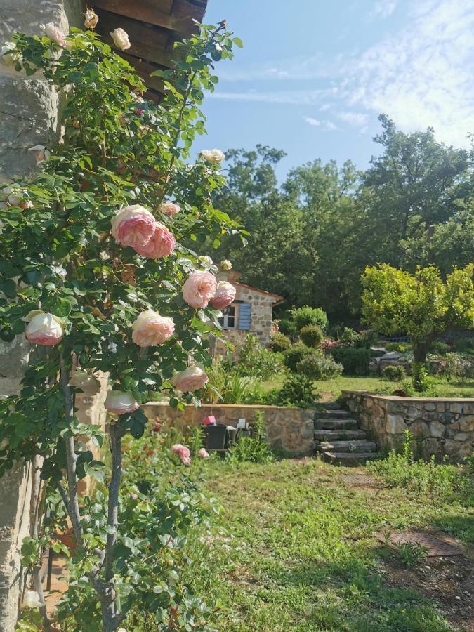 Domaine Geodora, Parfumeur En Provence Villa Montauroux Exterior foto