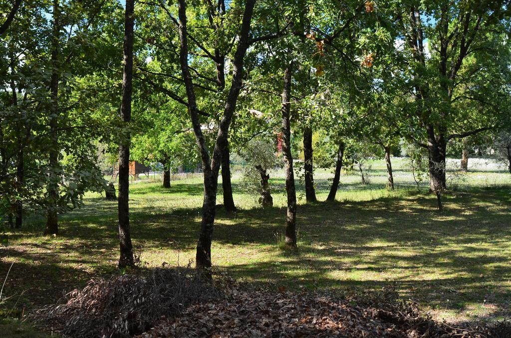 Domaine Geodora, Parfumeur En Provence Villa Montauroux Exterior foto